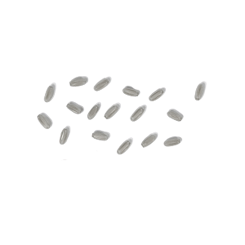 Bed Bug Eggs
