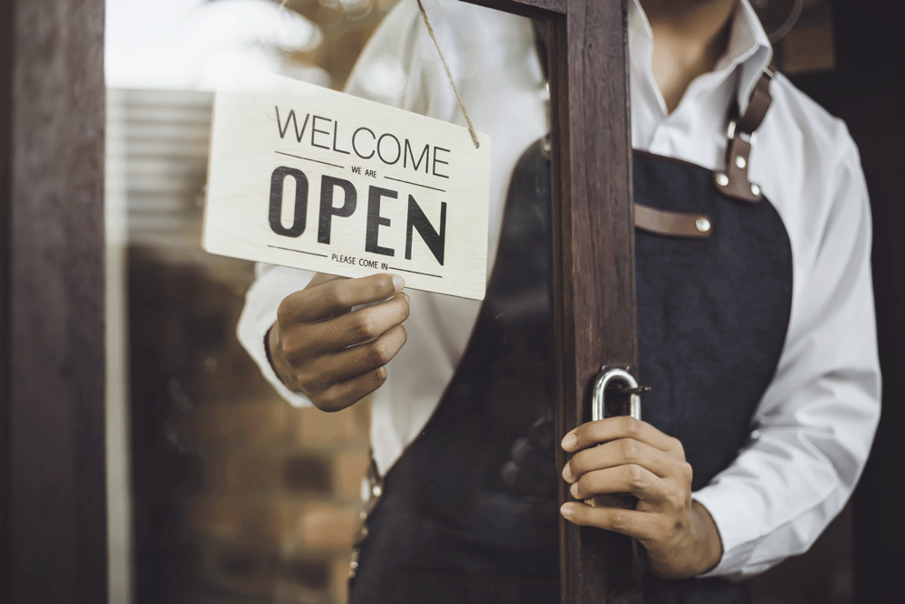 Pest Control Solutions for Businesses
