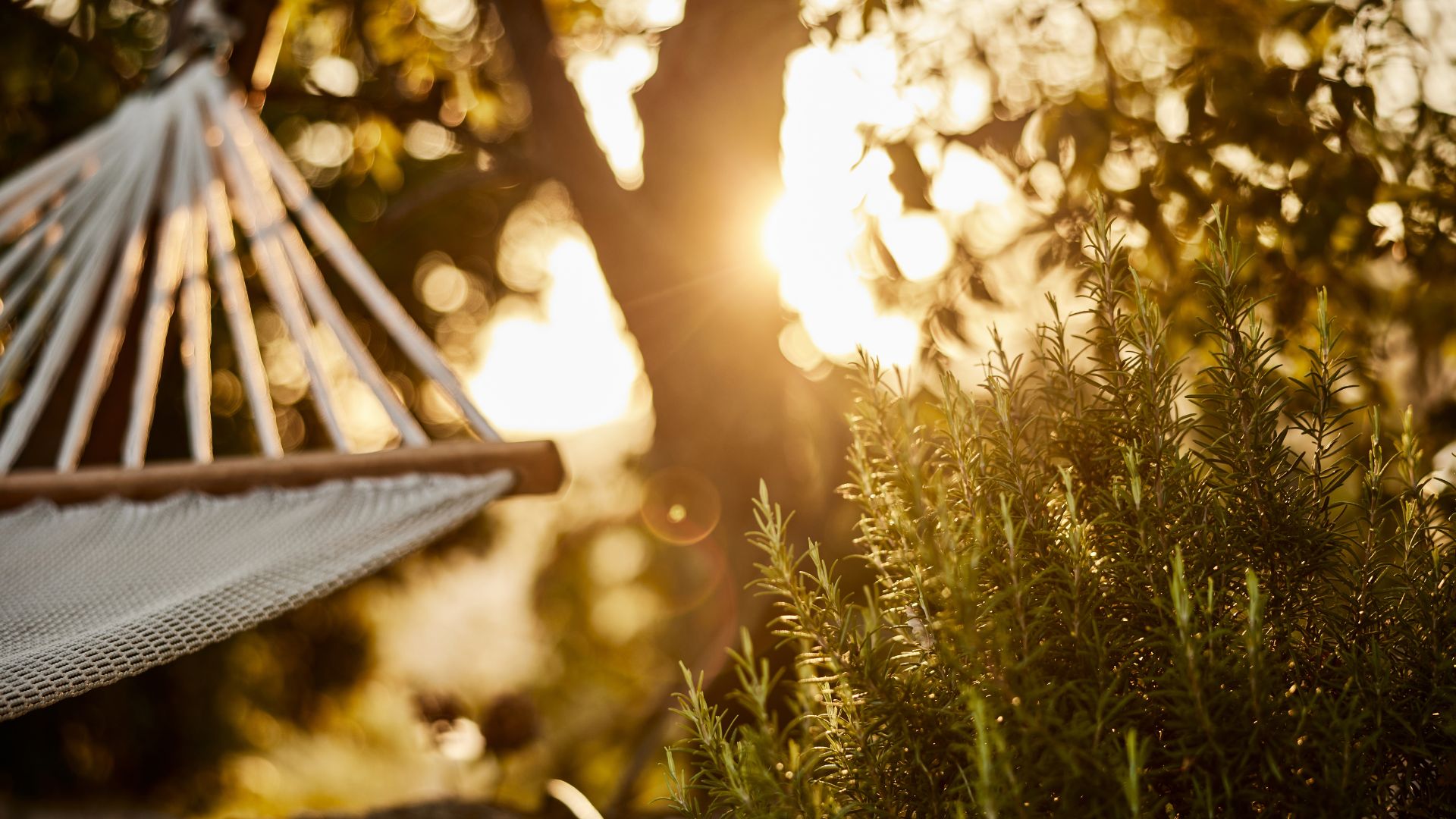 How to Keep Mosquitoes Out of Your Backyard This Season